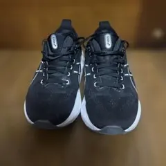 Item thumbnail for item ce4e58ec-8699-411b-ae91-cb867f548137