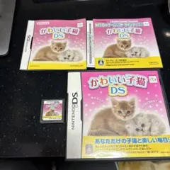 かわいい子猫DS