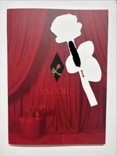 超特急 ESCORT 公式パンフレット しおり タクヤ - メルカリ