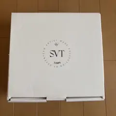 SEVENTEEN アーティストメイド エスクプス 傘(新品未使用:現品のみ