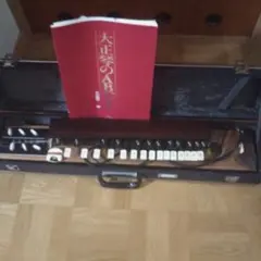 2025年最新】木村 大正琴の人気アイテム - メルカリ