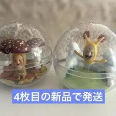 カプセルトイ こびとづかん　カプリウムコレクション　2種セット　新品