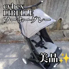 サイベックス リベル 2023年モデル DW限定ネイチャーグリーン - メルカリ