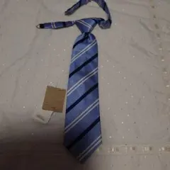 Item thumbnail for item eca2d705-a4e8-468a-8a21-872293c36e78