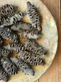 マスヲ+様 リクエスト 2点 まとめ商品