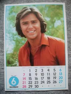 グレッグ・エビガン　カラーポート　Ａ4サイズ　裏面　シェリー・ハック