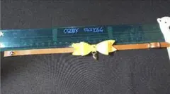 ハンドメイド　レザーチョーカー　小型犬、ネコ用
