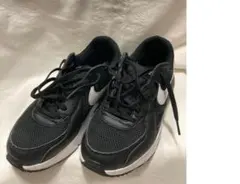 Nike Air Max ブラックスニーカー