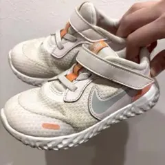 Item thumbnail for item 505bc7e7-dc0b-4ad8-8cf0-f30eaf9207be