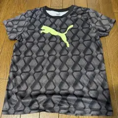 PUMA 幾何学模様 Tシャツ 160上下セット