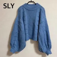 SLY BALLOON SLEEVE TOPS
