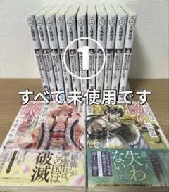 Item thumbnail for item 72bc1107-a430-488b-8784-d89ba1cf101c