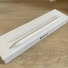 Apple Pencil (USB-C) 充電・動作確認のみ