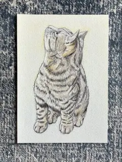 猫の絵 色鉛筆画　手描き原画　2Lサイズ