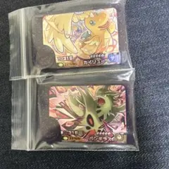 ポケモンフレンダベストタッグ４弾スーパートレジャーカイリュー、バンギラス