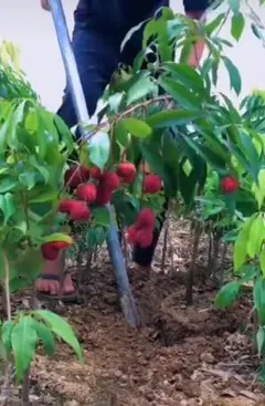 Fuji様 リクエスト 4点 まとめ商品