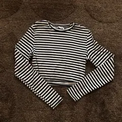 ZARA 黒と白のストライプ クロップドTシャツ L