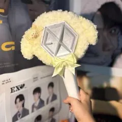 exo ペンライトカバー　即日発送