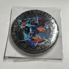 ポケモンレジェンズZA イオン 購入特典 メガリザードンX 金バッジ