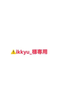⚠️ikkyu_様専用