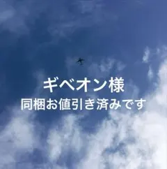 ギベオン様 リクエスト 5点 まとめ商品