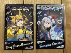 ウマ娘 シンデレラグレイ タマモクロスとオベイ・ユア・マスターフォトカードセット