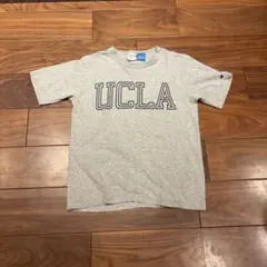 Champion UCLA Tシャツ グレー
