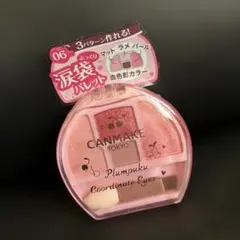 新品 未開封 CANMAKE キャンメイク プランぷくコーデアイズ 06 涙袋