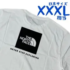 【海外限定】ノースフェイス　半袖Tシャツ　日本4L相当　A556