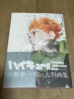 ハイキュー!! Complete Illustration book 終わりと…
