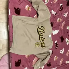 Item thumbnail for item 92021f16-426b-4046-89a5-2dddeb1a64a5