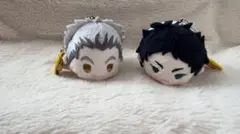 ハイキュー　もちマス　木兎 赤葦