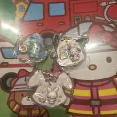 サンリオ パッケージチャーム ハンギョドン ポチャッコ ウィッシュミーメル