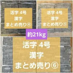 Item thumbnail for item b221042c-1f93-4597-b751-8160cf35be6c