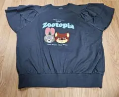 Item thumbnail for item 06e5fe9b-7c04-480e-a441-fe62f96081fe