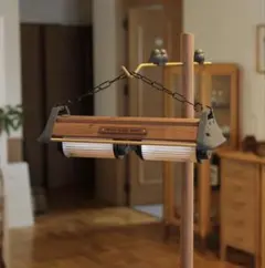 WHAT WE WANT× TENtoTEN ポヨポヨの実 ウォールナット TENtoTEN 悪魔の実シリーズ ポヨポヨの実(モデルウォールナット