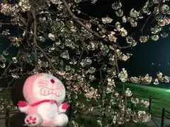 デンリュウのサムネイル