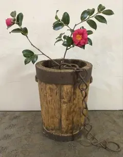 青白磁 つる唐草模様 皿 6枚セット(大1枚・中5枚) - メルカリ