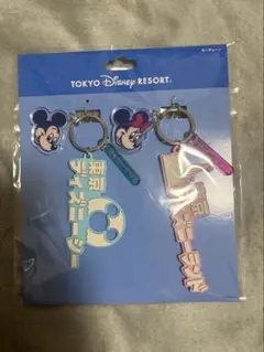 ディズニーリゾート　キーチェーン