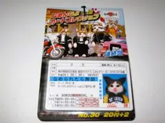 新品【なめ猫 カード 22枚】G なめんなよ なめねこ 猫 ねこ なめんなよ