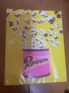 嵐 パンフレット