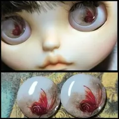 No.153ブライスアイチップ