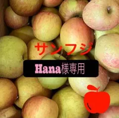 Hana様専用　です！