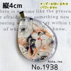 同梱値引100円❤️No.1938 レジン ペンダントトップ 猫 ネコ ねこ ♡