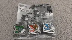 ポケモン30周年メタルチャームマスコット ヒトカゲ、ゼニガメ、フシギダネ