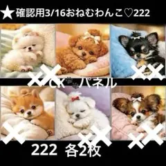 オーダーページ 4/1チワワとインコ776 レアパネル ハンドメイド - メルカリ