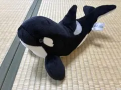 2026年最新】名古屋港水族館 シャチ ぬいぐるみの人気アイテム - メルカリ