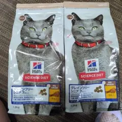 Item thumbnail for item 2b4f6294-5d0b-4a7f-b15e-03d97a4428a8