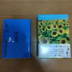 いま会いにゆきます DVDボックス