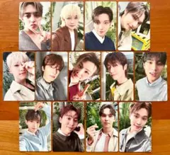 SEVENTEEN セブチ 消費期限 通常盤 封入 トレカ 13枚コンプ